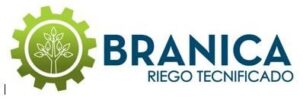 Branica
